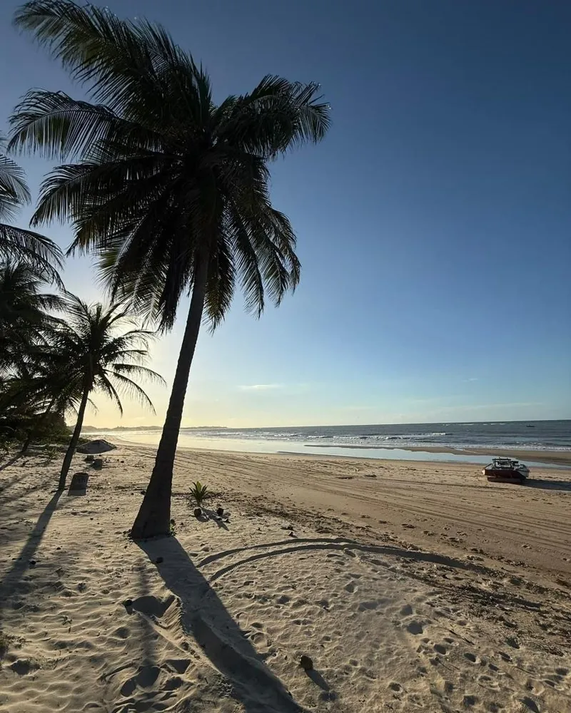 Praia da Baleia